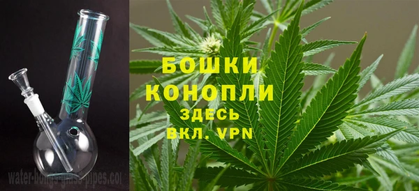 стафф Верхний Тагил
