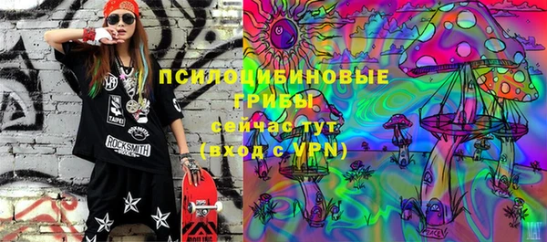 стафф Верхний Тагил